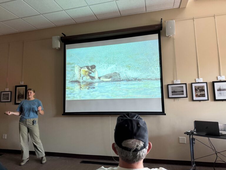 Loons Take Center Stage at the KLA Annual Meeting!